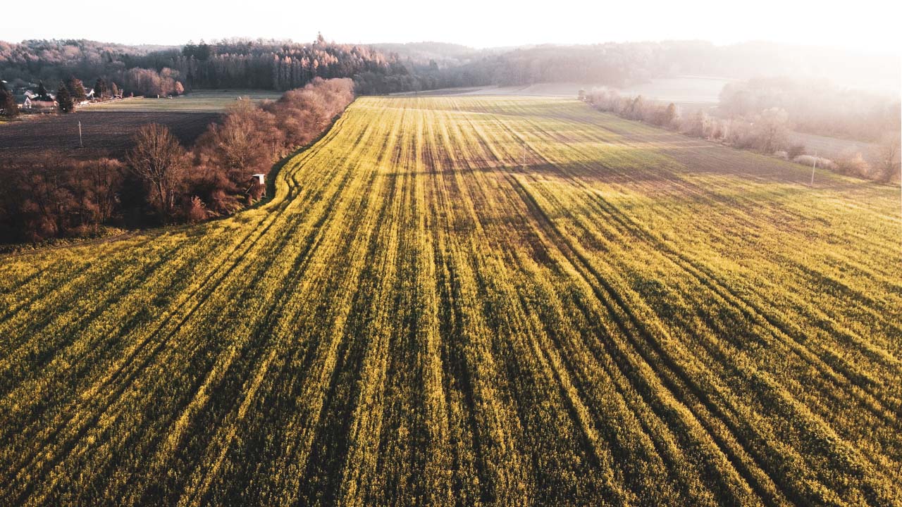 Jennersdorf-Burgenland-Naturpark-Raab